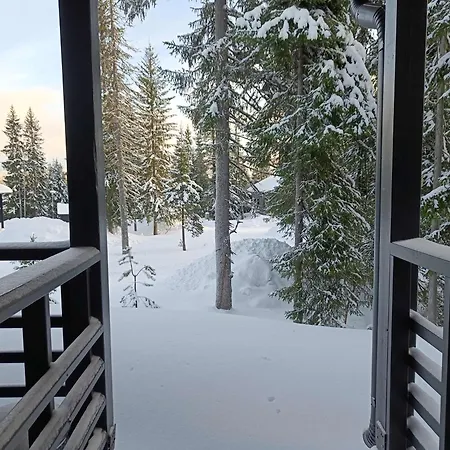 Romerinteen Kartano 14b *