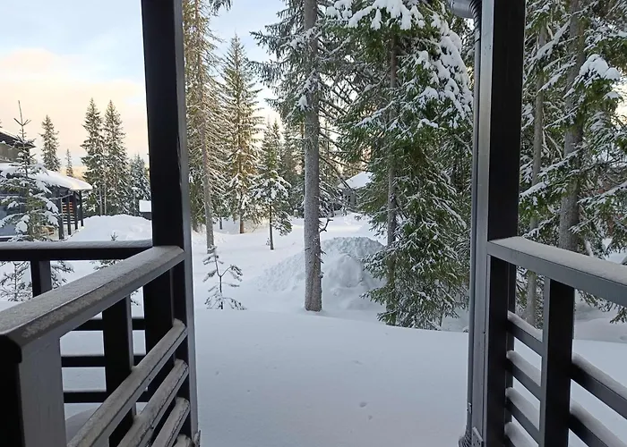 Romerinteen Kartano 14b *